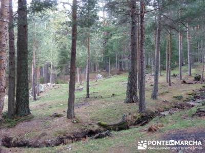 Nacimiento del río Manzanares desde La Barranca; senderismo gijon